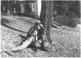 Мертвый сезон. Конец легенды - image15.jpg