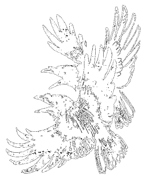 Сиамская овчарка - i_027.png