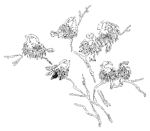 Сиамская овчарка - i_057.png