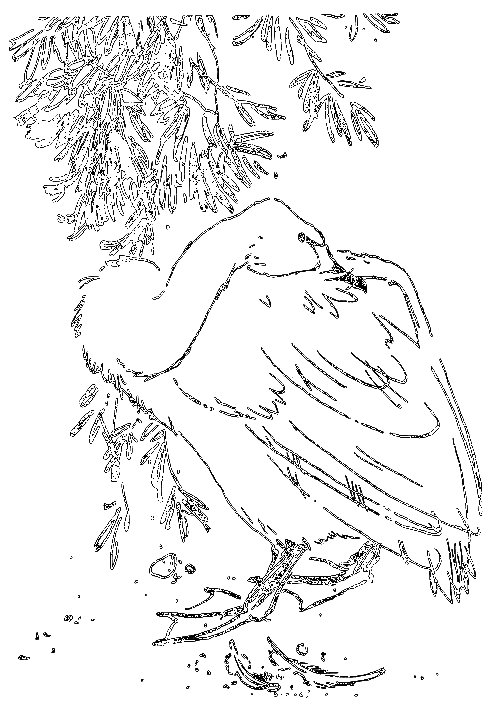 Сиамская овчарка - i_058.png