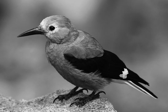 Почему девочки не хуже мальчиков разбираются в математике - i_003.jpg