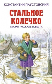 Стальное колечко. Теплый хлеб - автор Паустовский Константин Георгиевич 