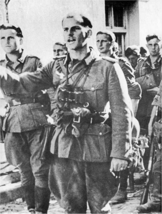 Wehrmacht. Сухопутные войска III Рейха - i_021.jpg