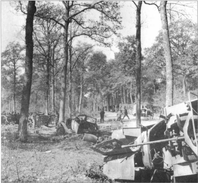 Wehrmacht. Сухопутные войска III Рейха - i_041.jpg