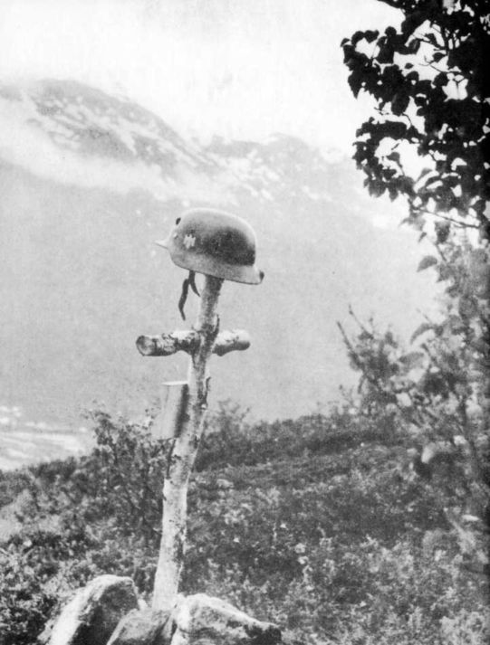 Wehrmacht. Сухопутные войска III Рейха - i_236.jpg