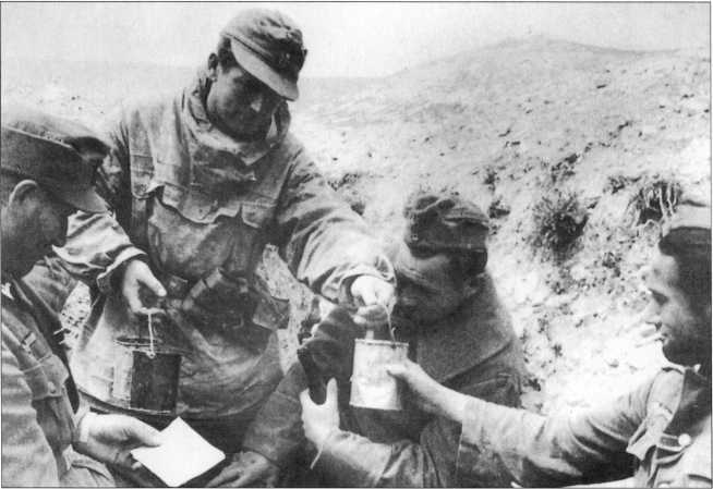 Wehrmacht. Сухопутные войска III Рейха - i_240.jpg