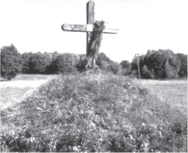 Восстание мазепинцев<br />Мифы и реалии - i_017.jpg