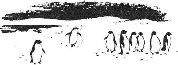 Великие русские путешественники - doc2fb_image_0200006C.jpg