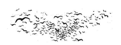 Великие русские путешественники - doc2fb_image_0200006D.jpg