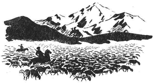 Великие русские путешественники - doc2fb_image_0200007E.jpg