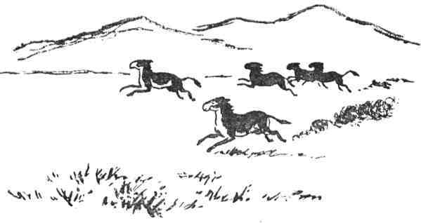 Великие русские путешественники - doc2fb_image_020000B0.jpg