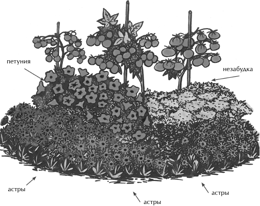 Большая книга сада и огорода по-новому - i_009.png