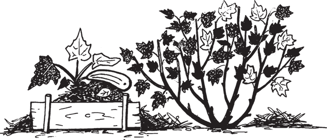 Самая полезная настольная книга садовода и огородника - i_009.png