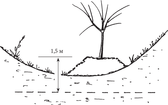 Самая полезная настольная книга садовода и огородника - i_028.png