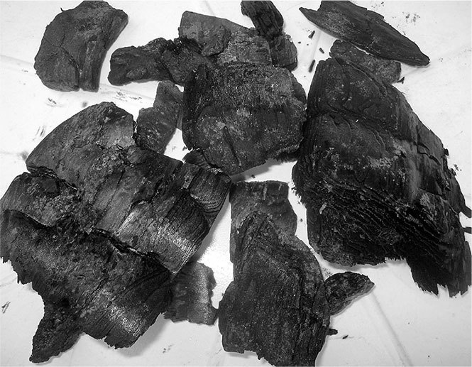 Секреты доброй почвы для чудо-урожая - i_019.jpg