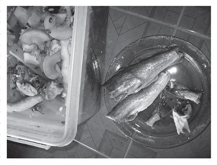 Секреты доброй почвы для чудо-урожая - i_020.jpg