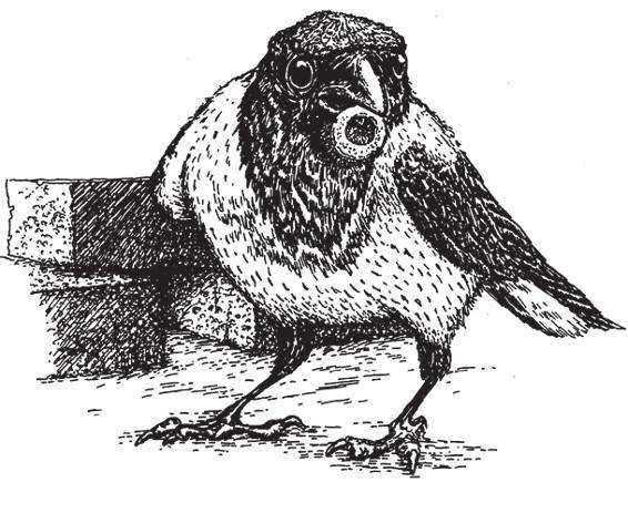 Разделить на сто - i_025.jpg