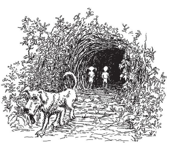 Разделить на сто - i_029.jpg