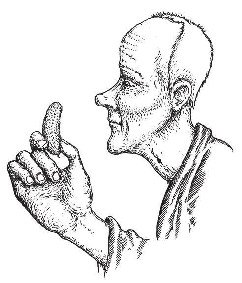 Разделить на сто - i_037.jpg