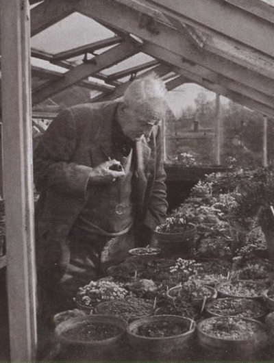 Толкин - _46.jpg