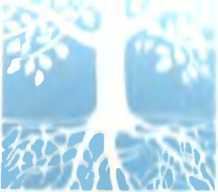 Прививка и перепрививка плодовых деревьев - image2.jpg