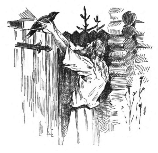 Неблаженные блаженные святые. Рассказы о необыкновенных подвижниках - i_005.jpg