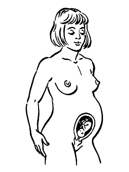 Девять месяцев вместе. Важнейшая книга будущей мамы - i_065.png