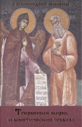  Вафидис Эмилиан - Трезвенная жизнь и аскетические правила: Толкование правил преподобных отцов Антония, Августина и Ма