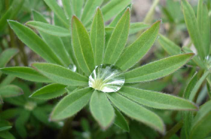 За миг до откровения - i_009.jpg