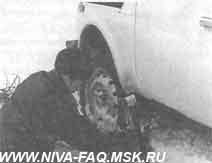 Что может Нива (СИ) - img_68.jpeg