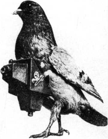 Агентурная разведка. Книга первая. Русская агентурная разведка всех видов до и во время войны 1914-1918 гг. - image29.jpg