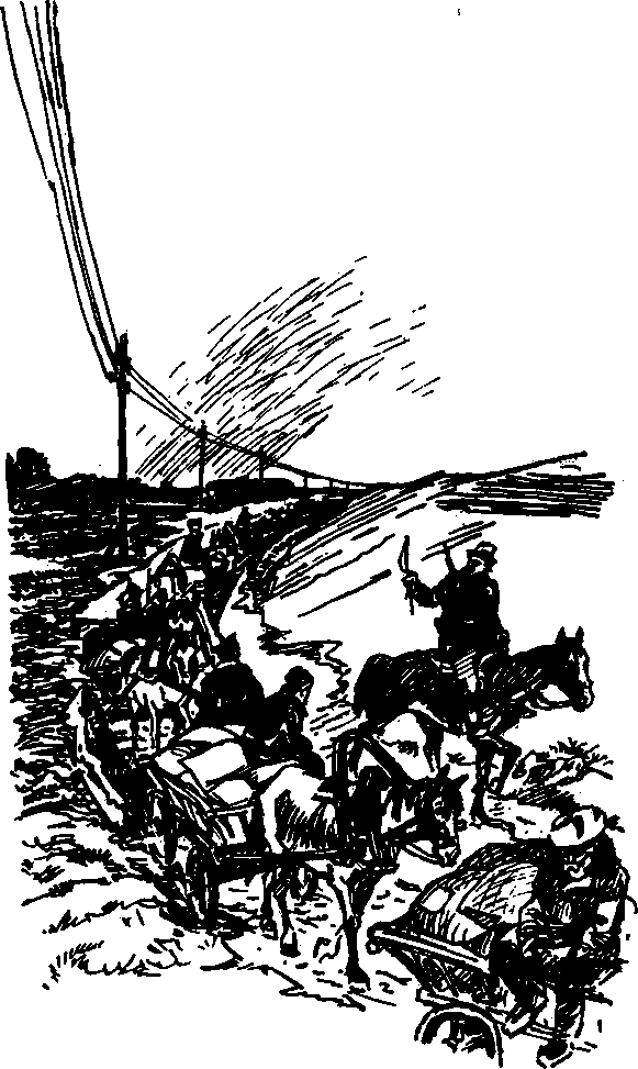 Чей мальчишка? (илл. В.Тихоновича) - i_004.png