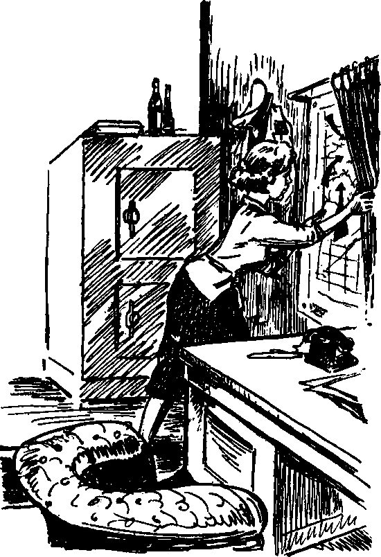 Чей мальчишка? (илл. В.Тихоновича) - i_010.png