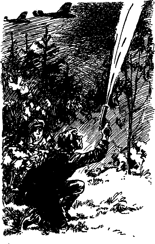 Чей мальчишка? (илл. В.Тихоновича) - i_011.png