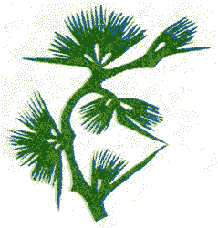 Приключения кузнечика Мена (с илл.) - i_025.png