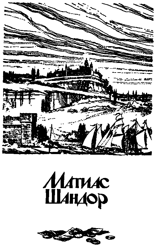 Матиас Шандор. Пятнадцатилетний капитан - pic_3.png