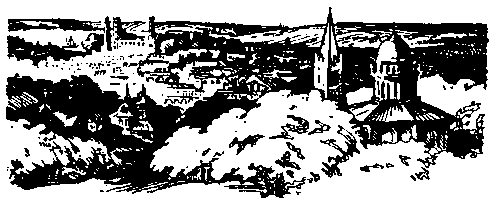 Матиас Шандор. Пятнадцатилетний капитан - pic_4.png