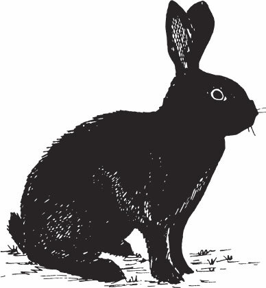 Кролиководство для начинающих - _16.jpg