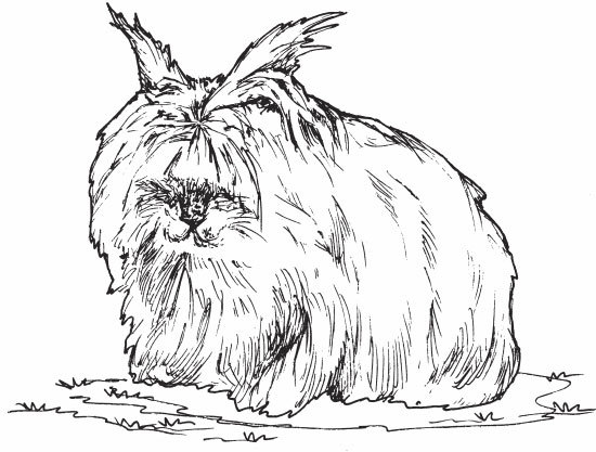 Кролиководство для начинающих - _20.jpg