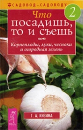 Что посадишь, то и сешь. Часть 2. Корнеплоды, луки, чесноки и огородная зелень - автор Кизима Галина Александровна 