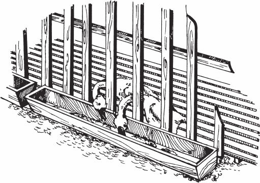 Птицеводство для начинающих. Полный справочник - _04.jpg