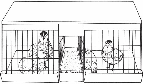 Птицеводство для начинающих. Полный справочник - _12.jpg