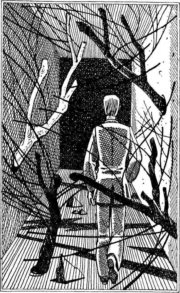 Иллюзии. 1968—1978 - _5.jpg