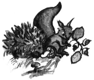 Две сестры, два ветра - i_016.jpg