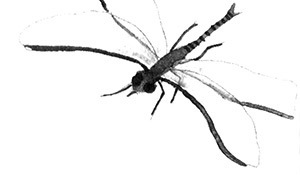 Световая азбука - i_039.jpg