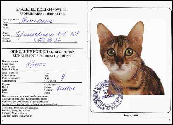 Звериный проект (СИ) - plakat05.jpg