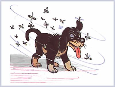 100 любимых стихов малышей - i_107.jpg