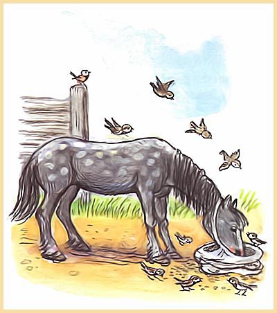 100 любимых стихов малышей - i_112.jpg