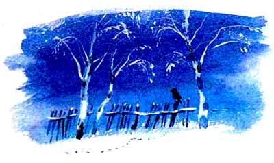 Большая книга о природе - i_018.jpg