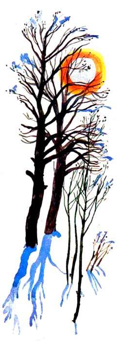 Большая книга о природе - i_023.jpg